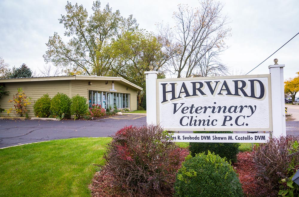 Harvard Veterinary Clinic - Harvard, IL