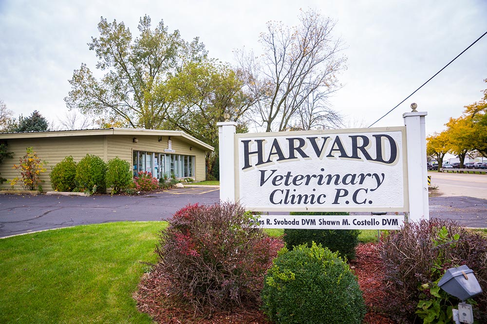 Harvard Veterinary Clinic